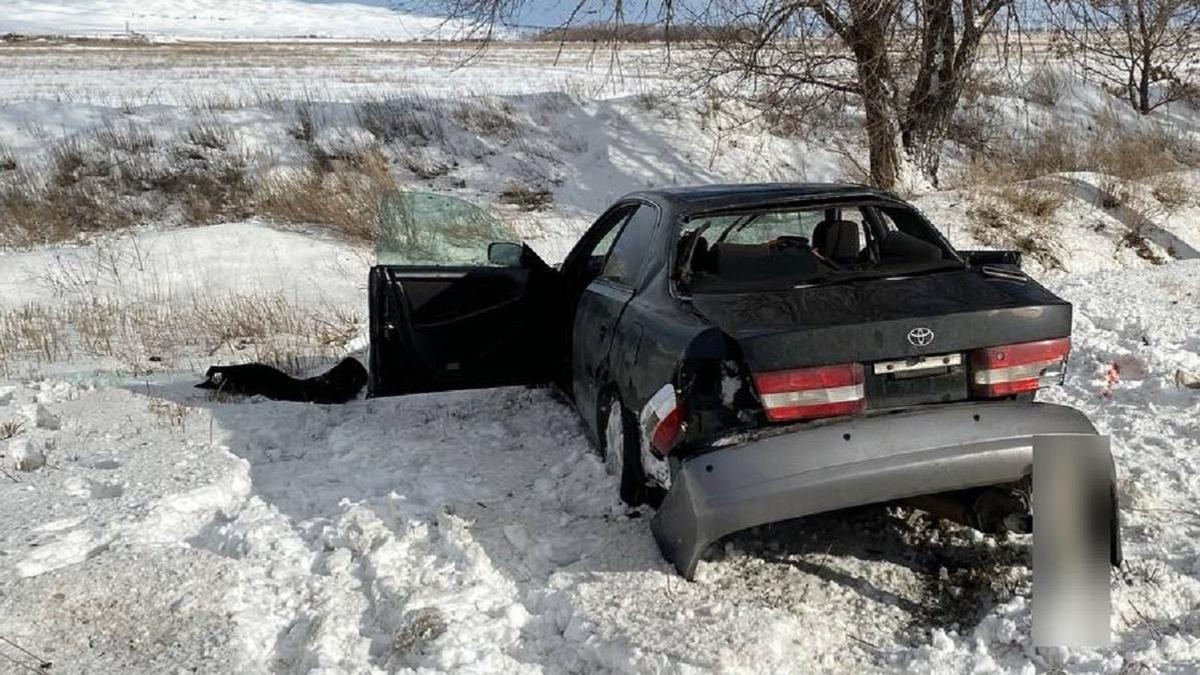 ДТП в Жетысуской области