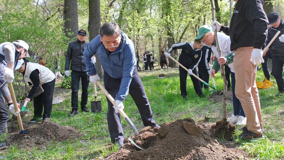 Общегородской субботник Almaty Clean & Green