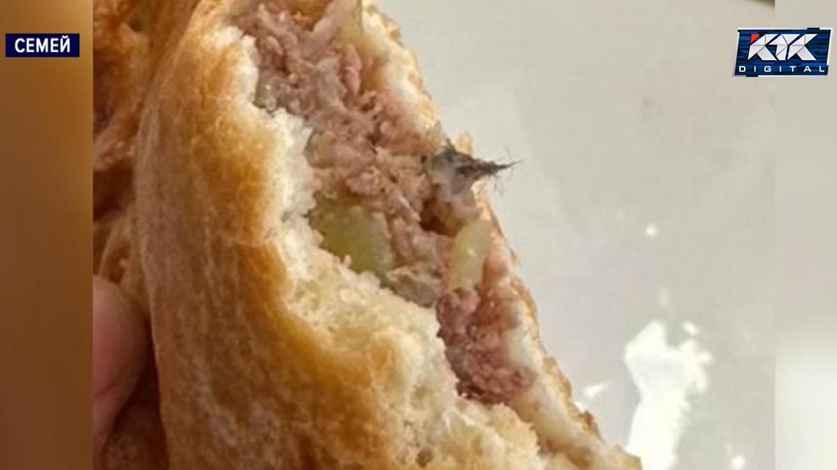 Эчпочмак с чем-то похожим на шерсть мыши