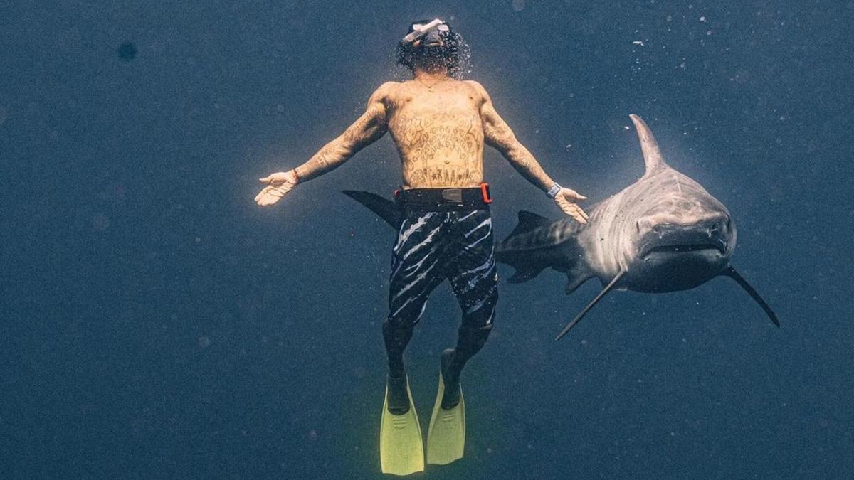 Фотография Тимати с акулой. Тимати с акулой и кулоном.