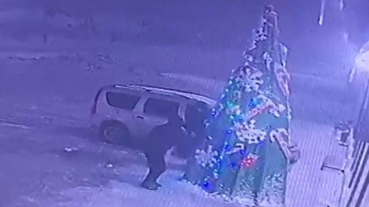 Елка в Бейнеу