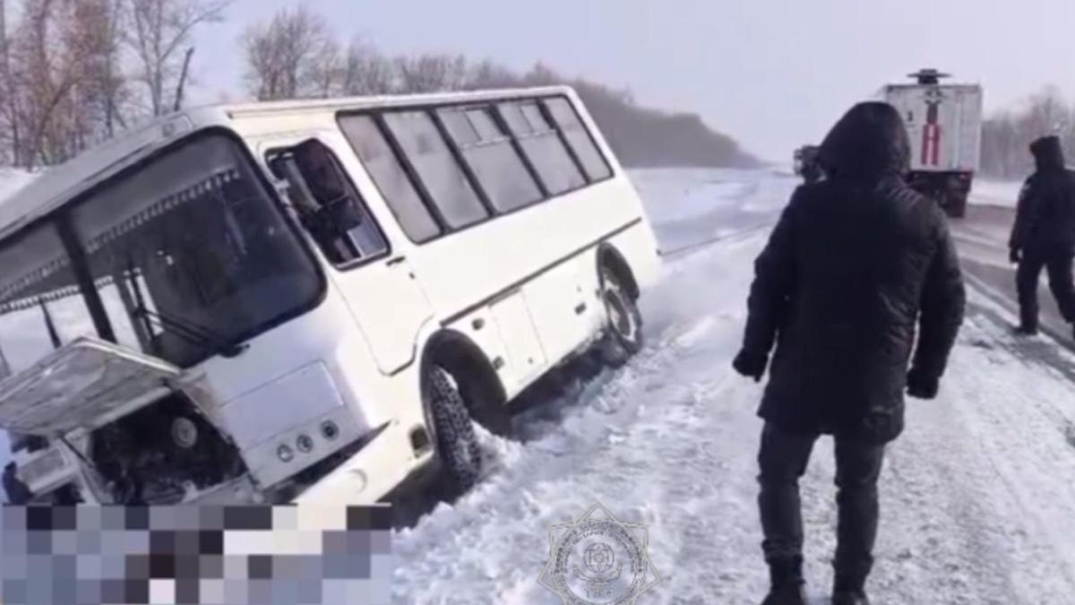 автобус автобус
