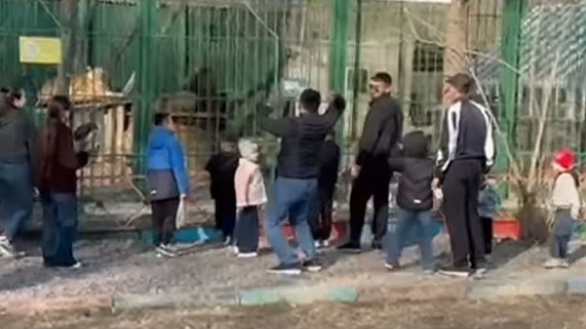 Взрослые и дети у вольера в Семее