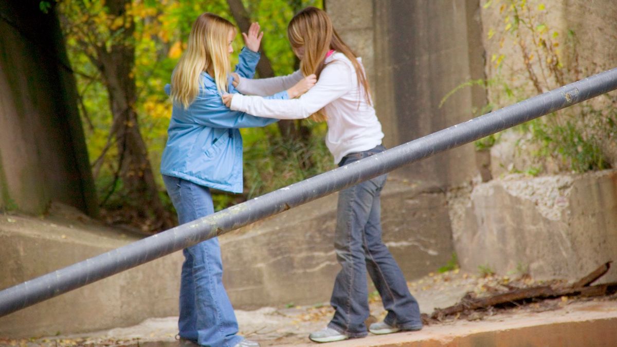 Девочки дерутся