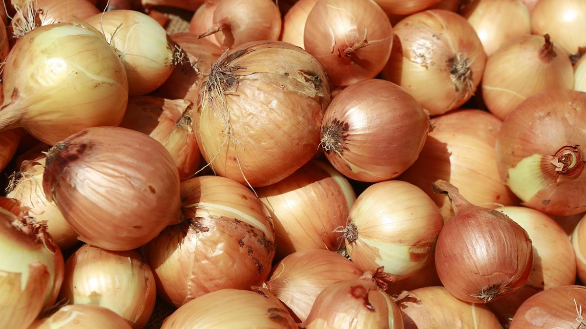 Лук