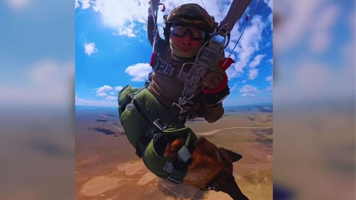 Человек с собакой прыгает с парашютом