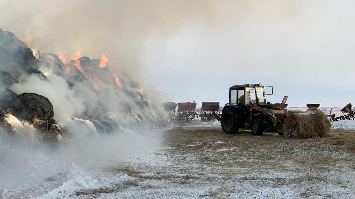 Сено подожгли в Акмолинской области