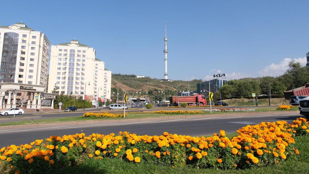Алматы Алматы