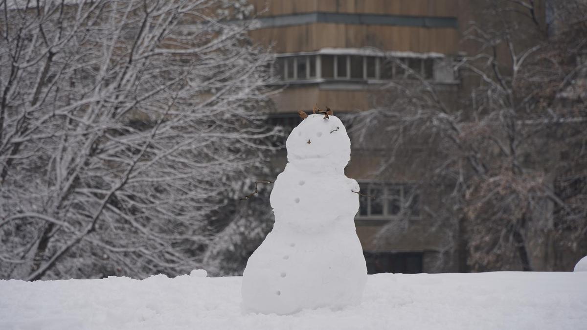 Снеговик во дворе дома