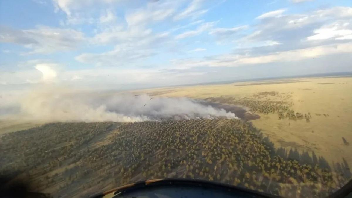 Лесной пожар в Абайской области