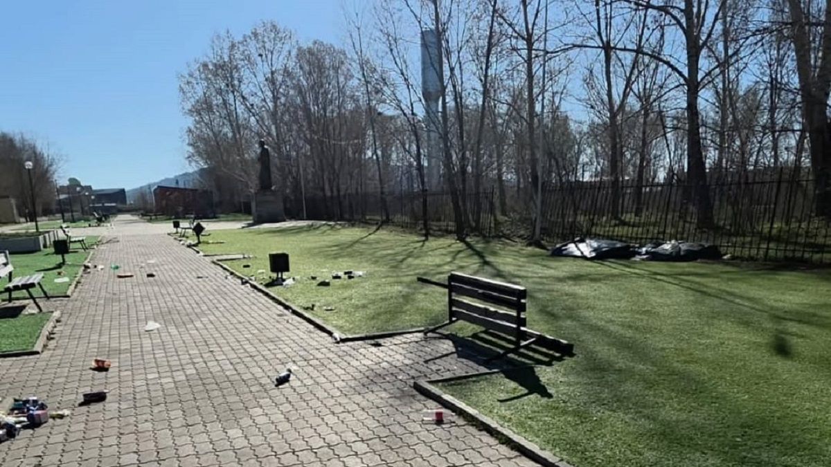 Погром в парке