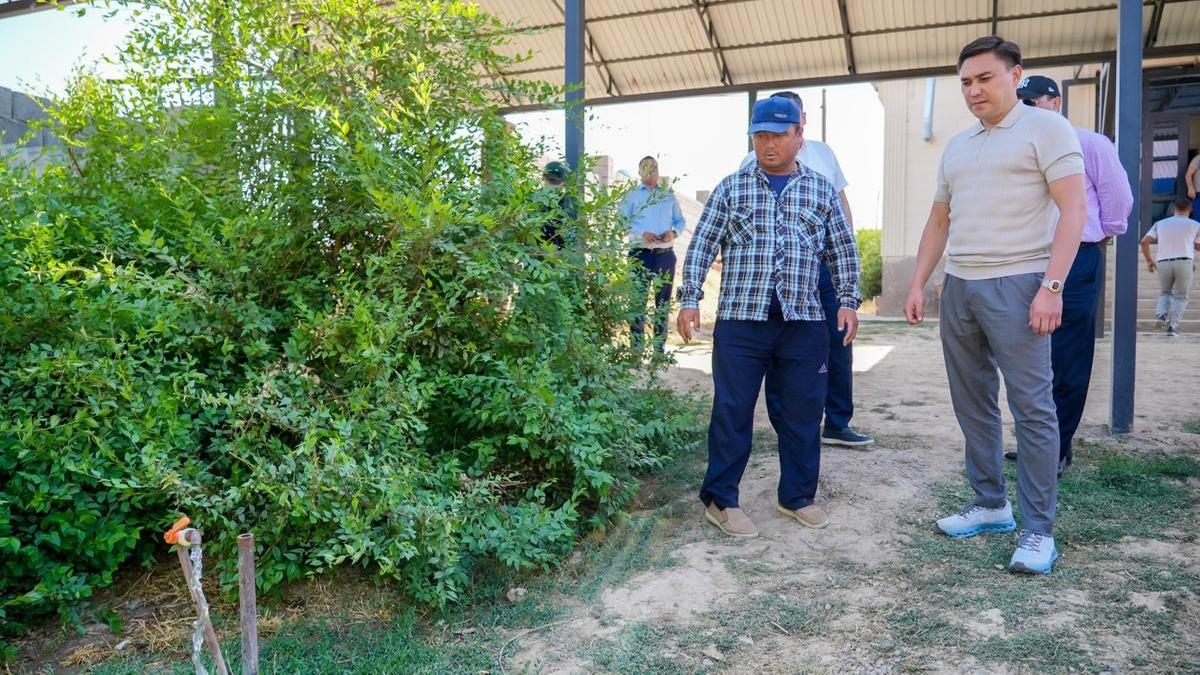 Управление внутренней политики и по делам молодежи города Шымкент