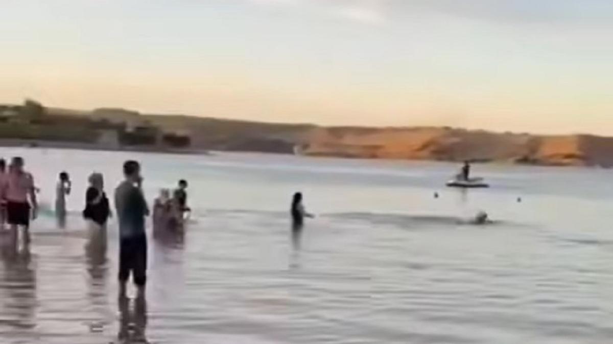 Пляж в Капшагае