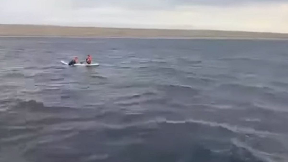 Дети на сапборде