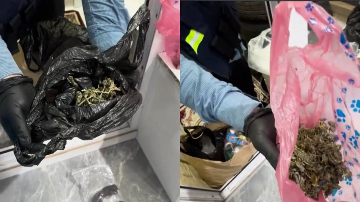 Изъятые наркотики