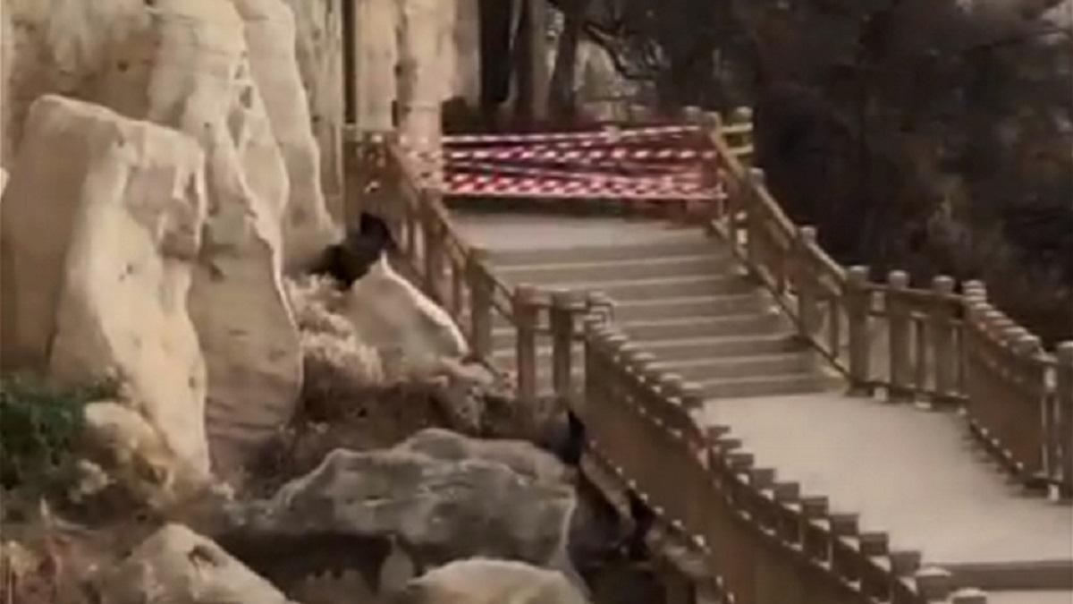Скальная тропа Скальная тропа