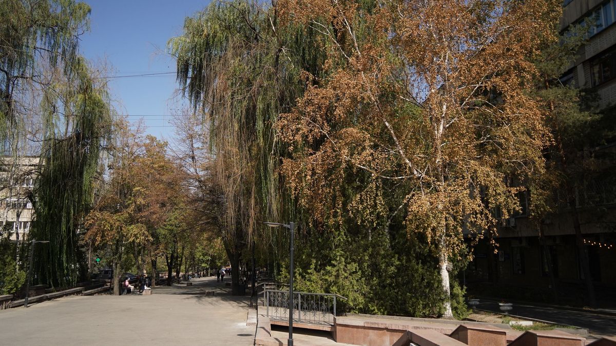 Город