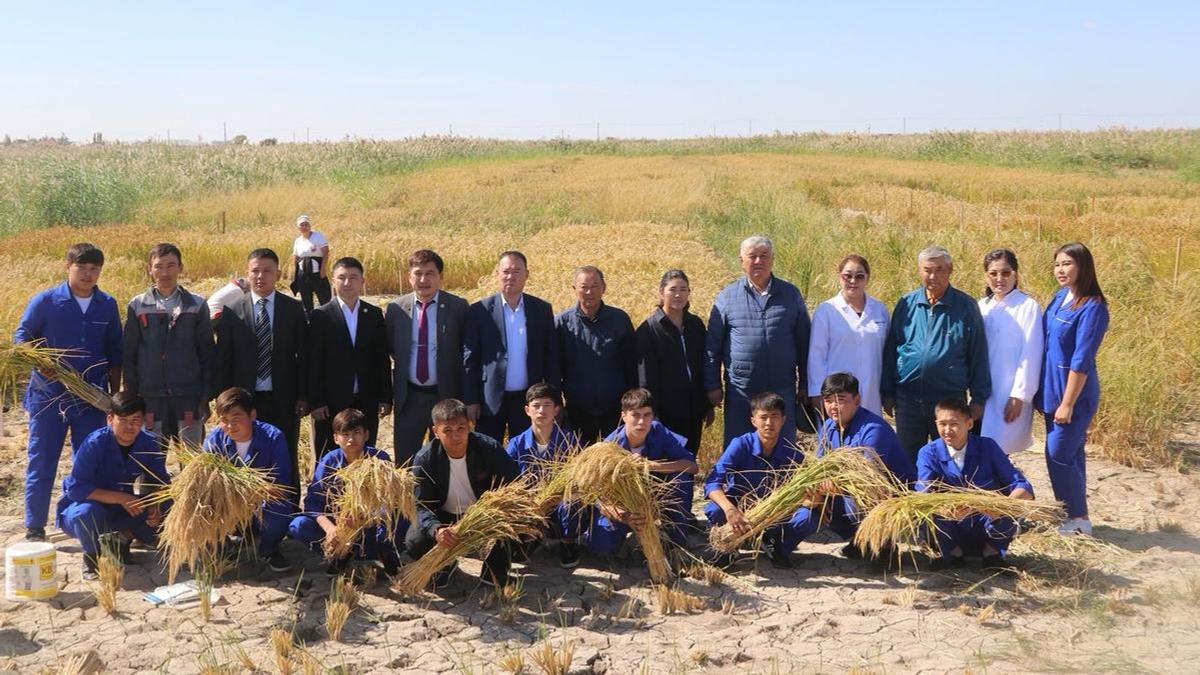 Жұмысшы мамандықтарына жаңа серпін