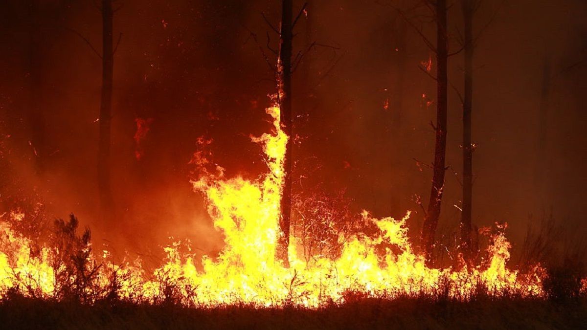 Пожары во Франции