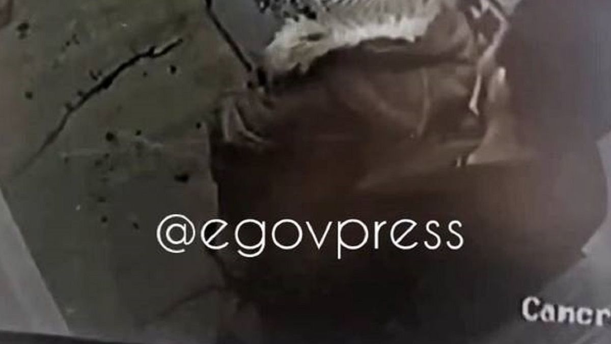 Запись с камер видеонаблюдения