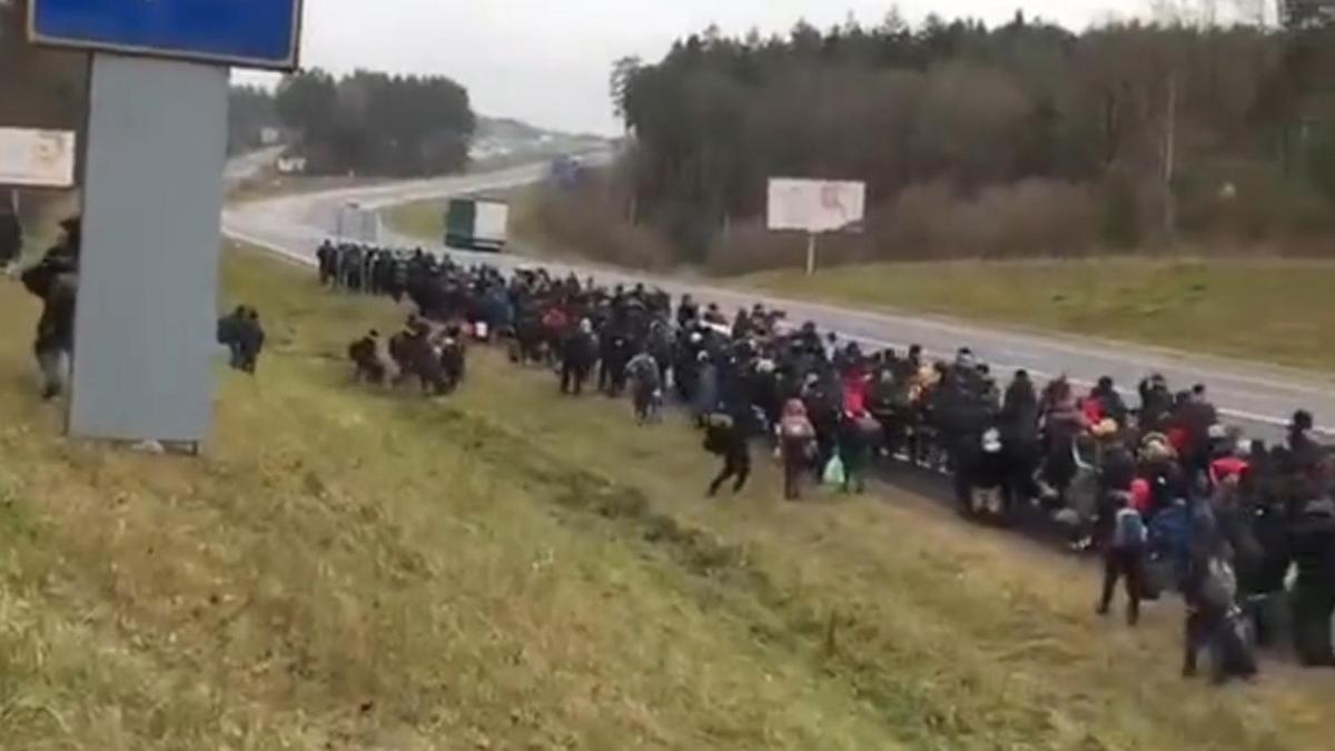 Белорусские пограничники рассказали о группе беженцев, движущихся к Польше