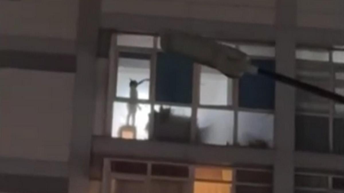 Ребенок на подоконнике