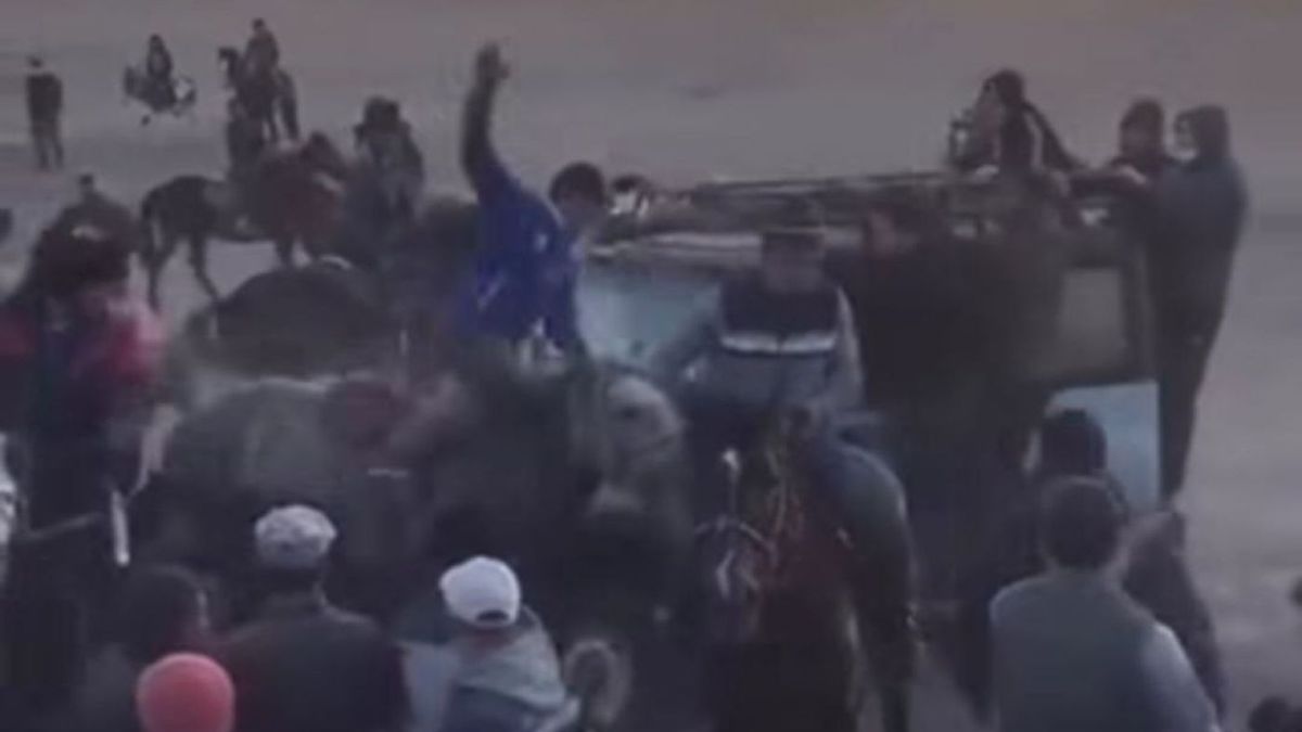 Машина сбивает лошадь