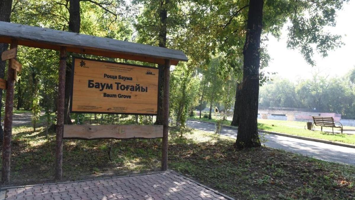 Роща Баума