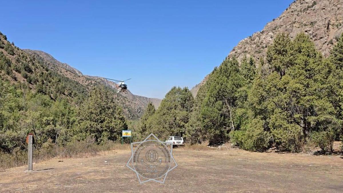 Біздің балапандар соңында қалды