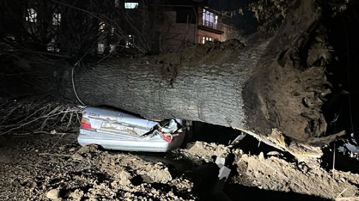Дерево рухнуло на авто Дерево рухнуло на авто