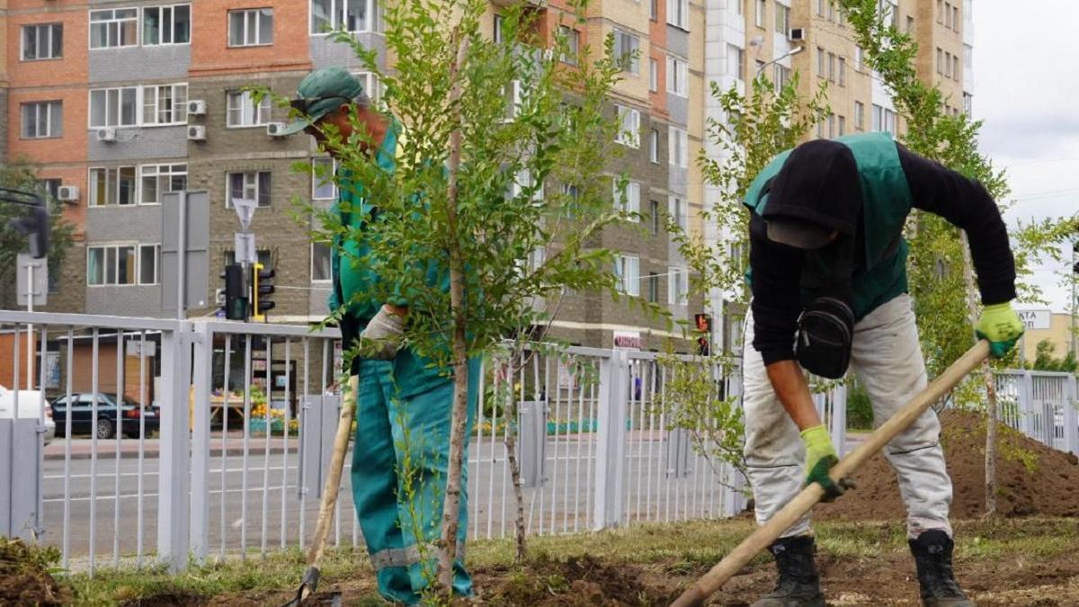 Мужчины высаживают зеленые насаждения