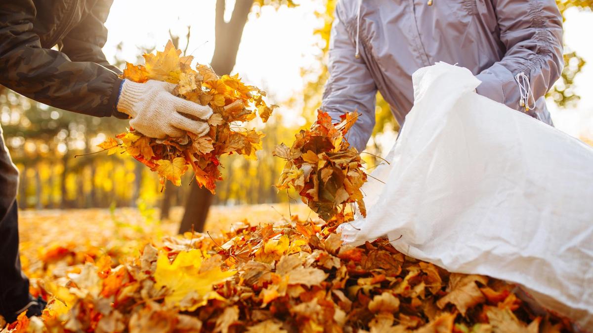 уборка листвы