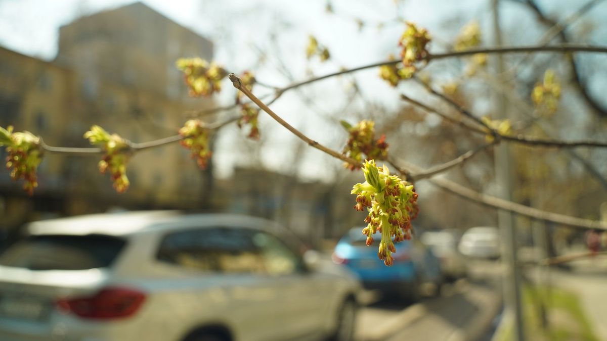 Көктем