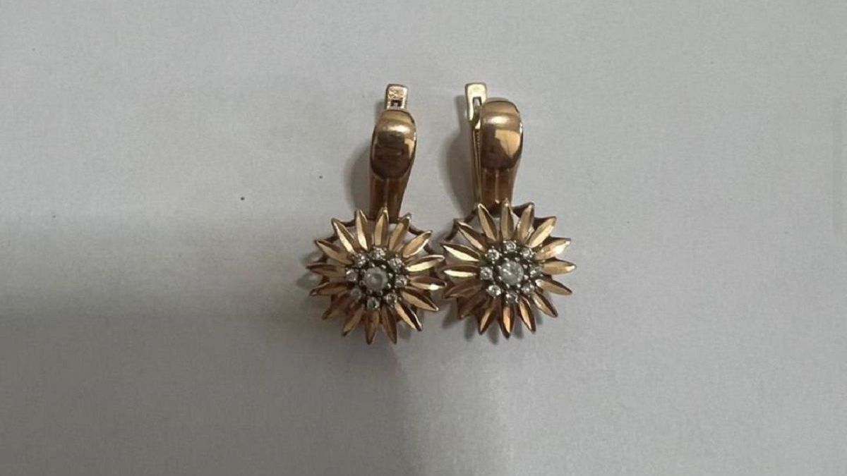 Изъятые серьги