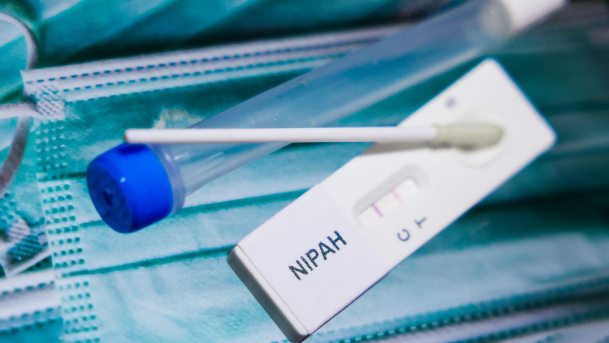 Вирус Нипах