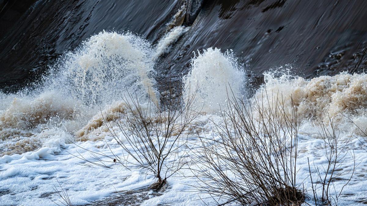 Вода заливает деревья