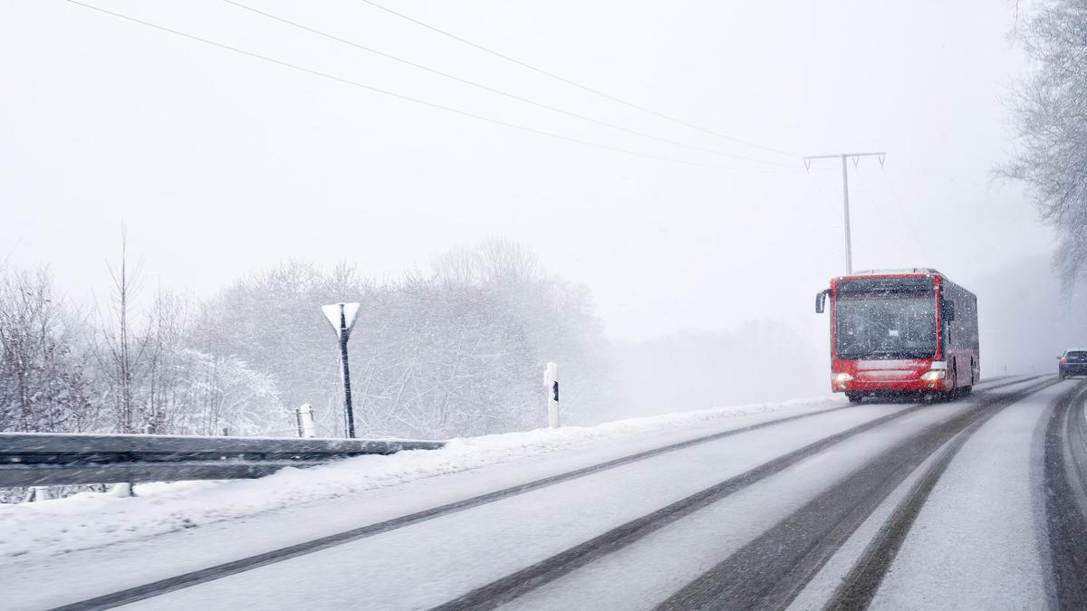 Автобус едет по дороге