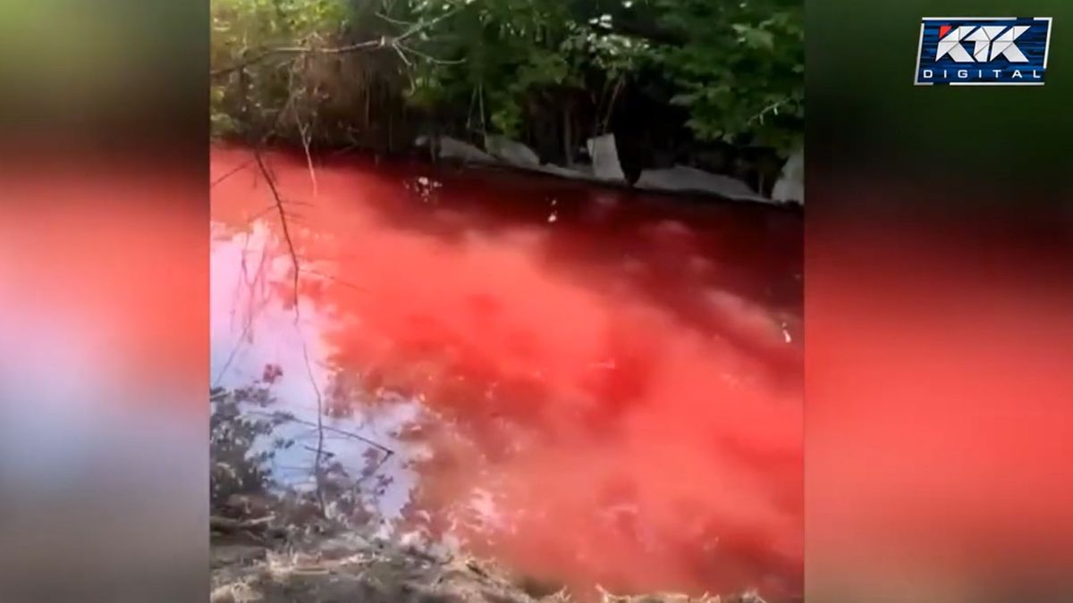 Канал в Таразе