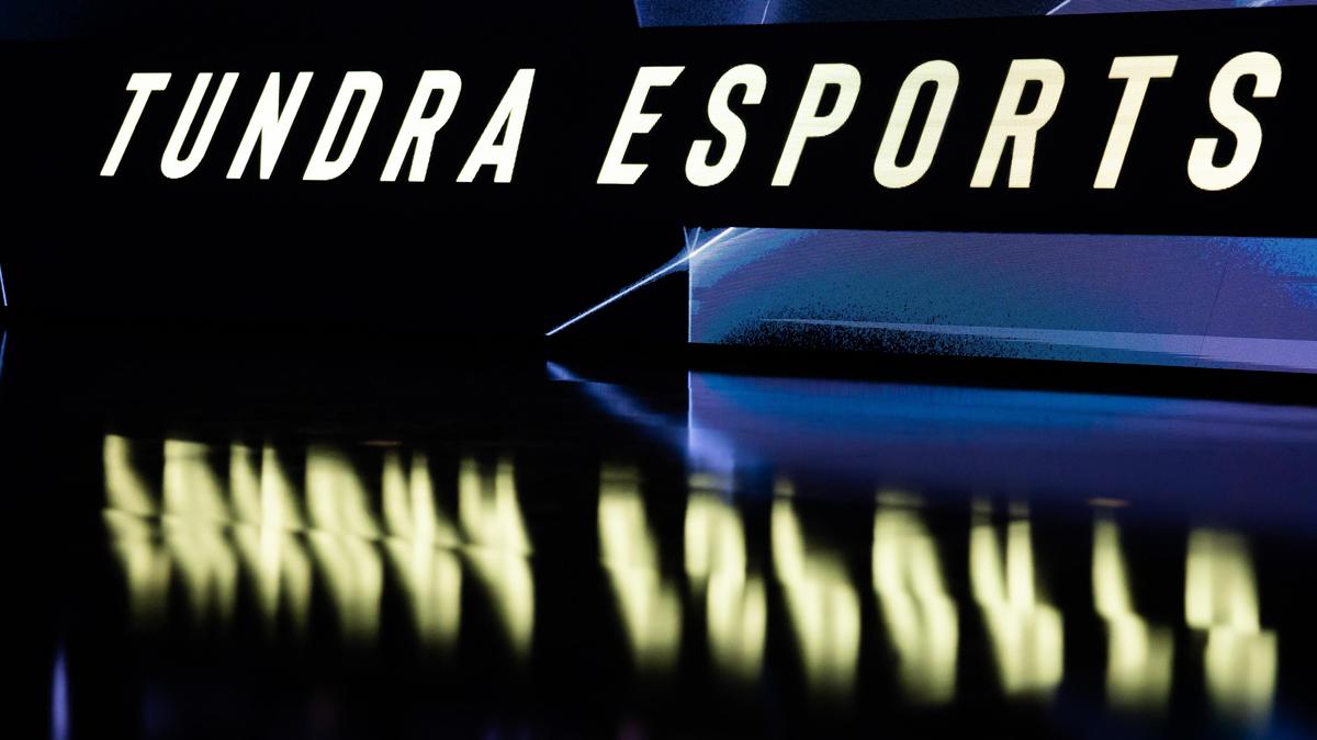 Киберспортивная команда Tundra Esports