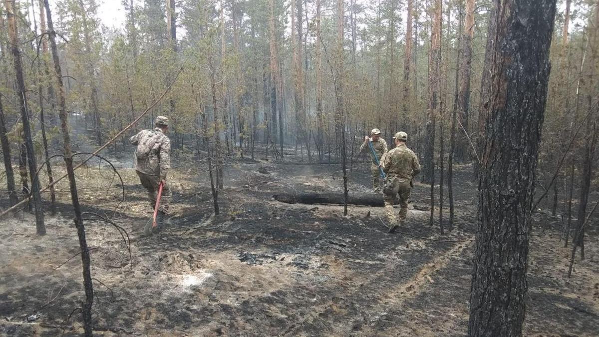 Қарулы күштердің әскери қызметшілері мен әскери техникасы Абай облысындағы өртті сөндіруге тартылды