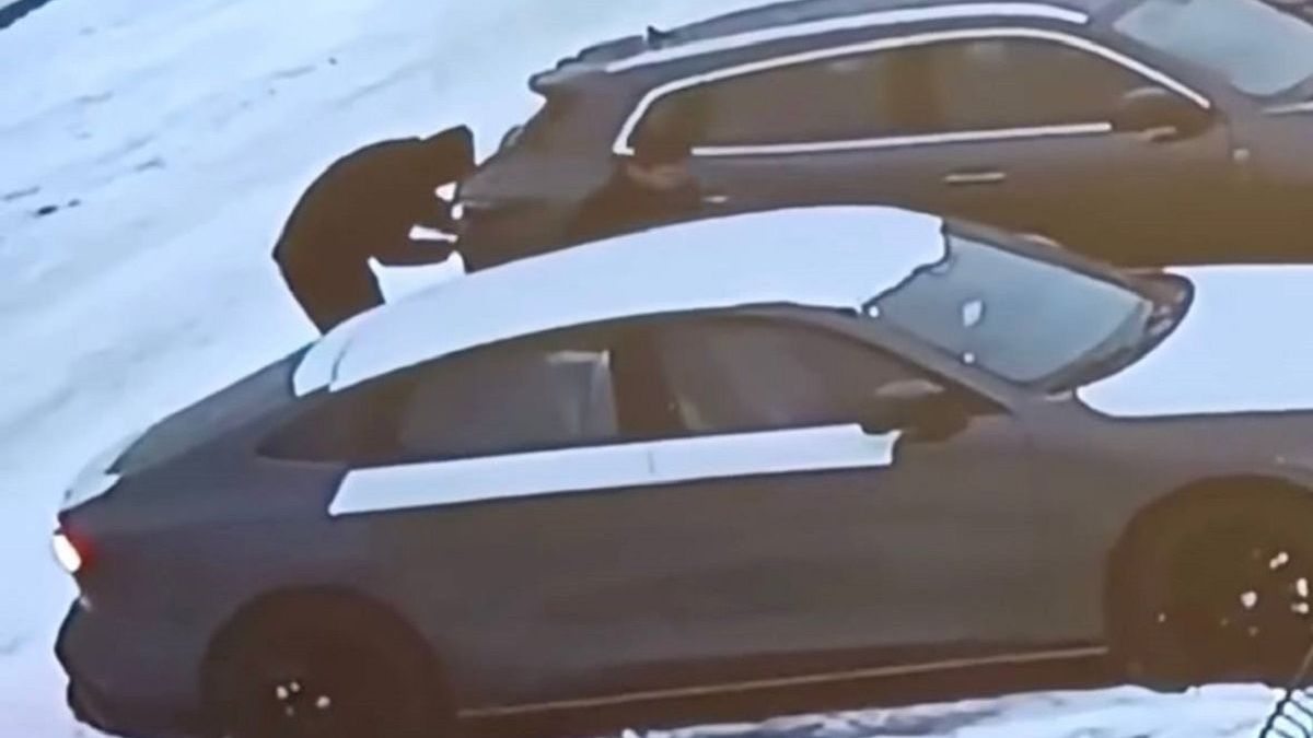 Подозреваемые в угоне авто в Алматинской области