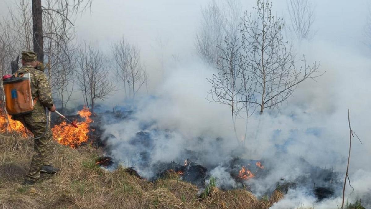 Пожарный тушит огонь в лесу