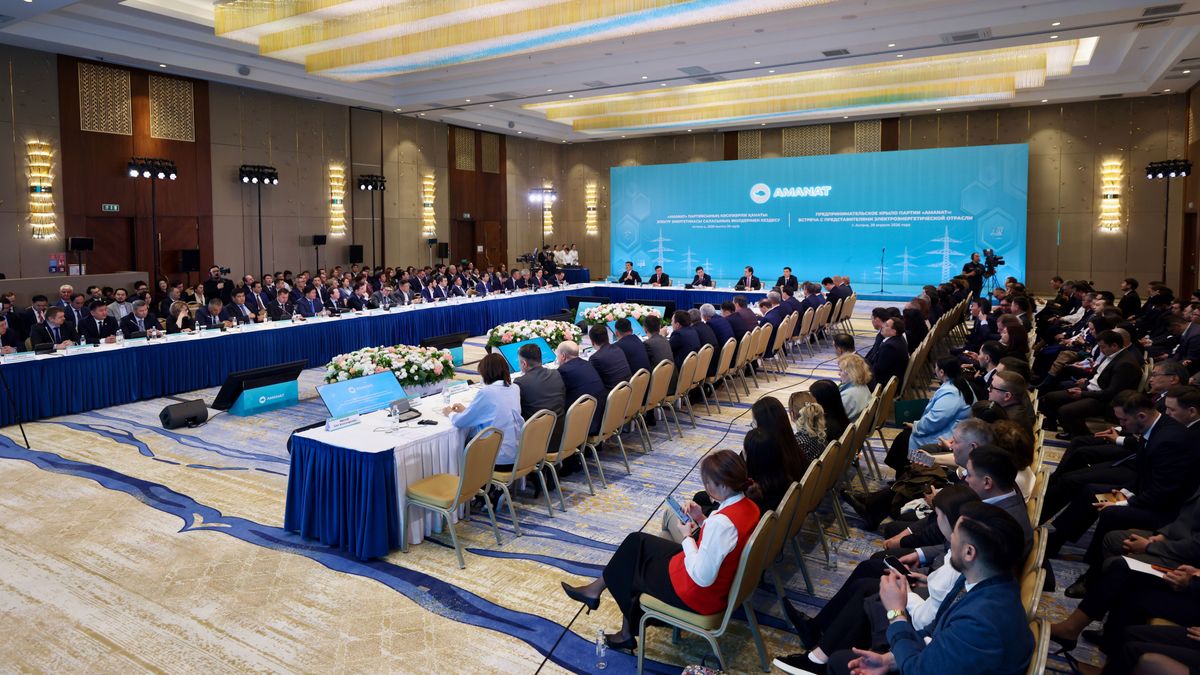 Встреча предпринимательского крыла партии AMANAT с представителями энергетической отрасли