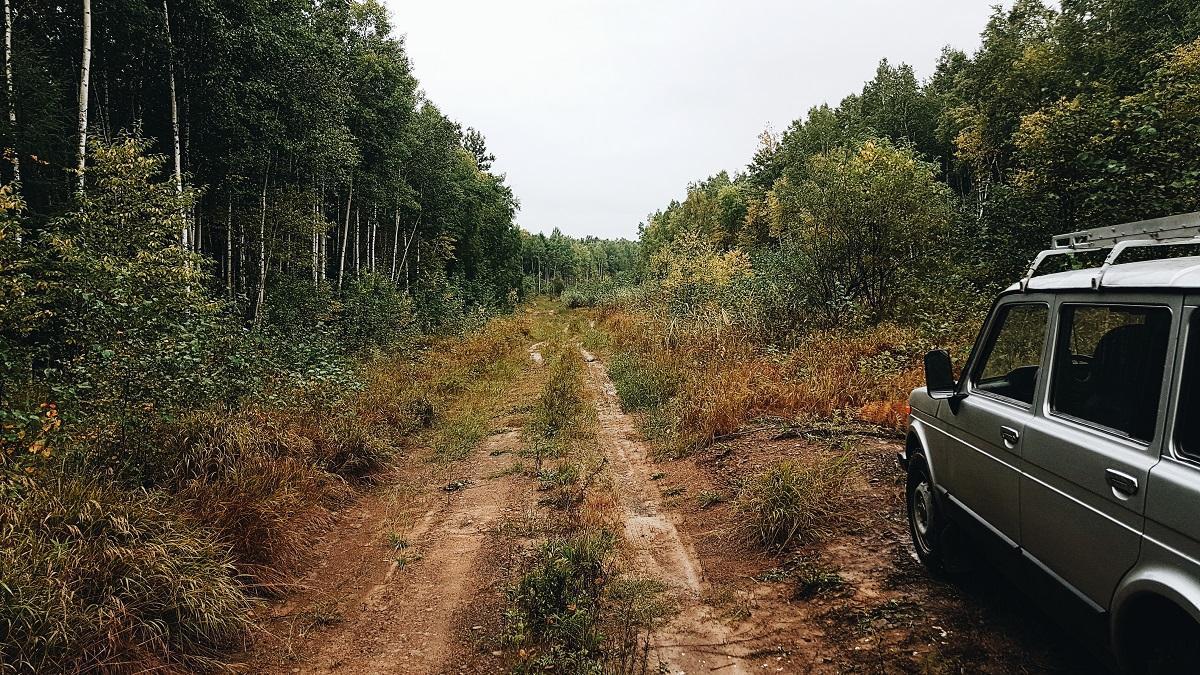 Автомобиль стоит в лесу