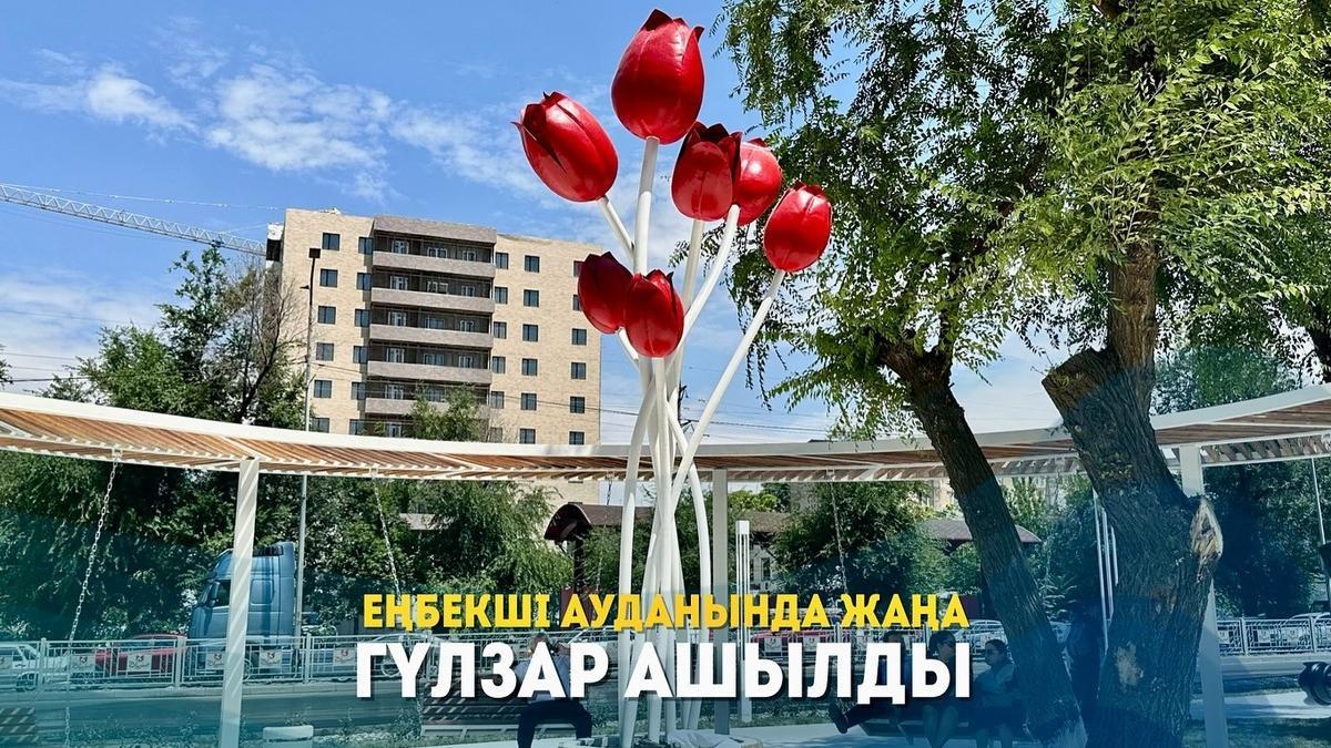 Шымкенттегі жаңа гүлзар Шымкенттегі жаңа гүлзар