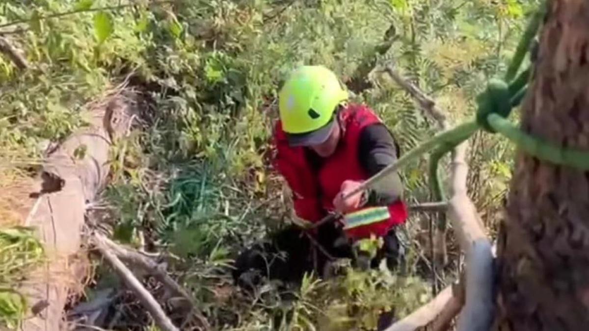 Спасатель спускается при помощи альпинистского снаряжения