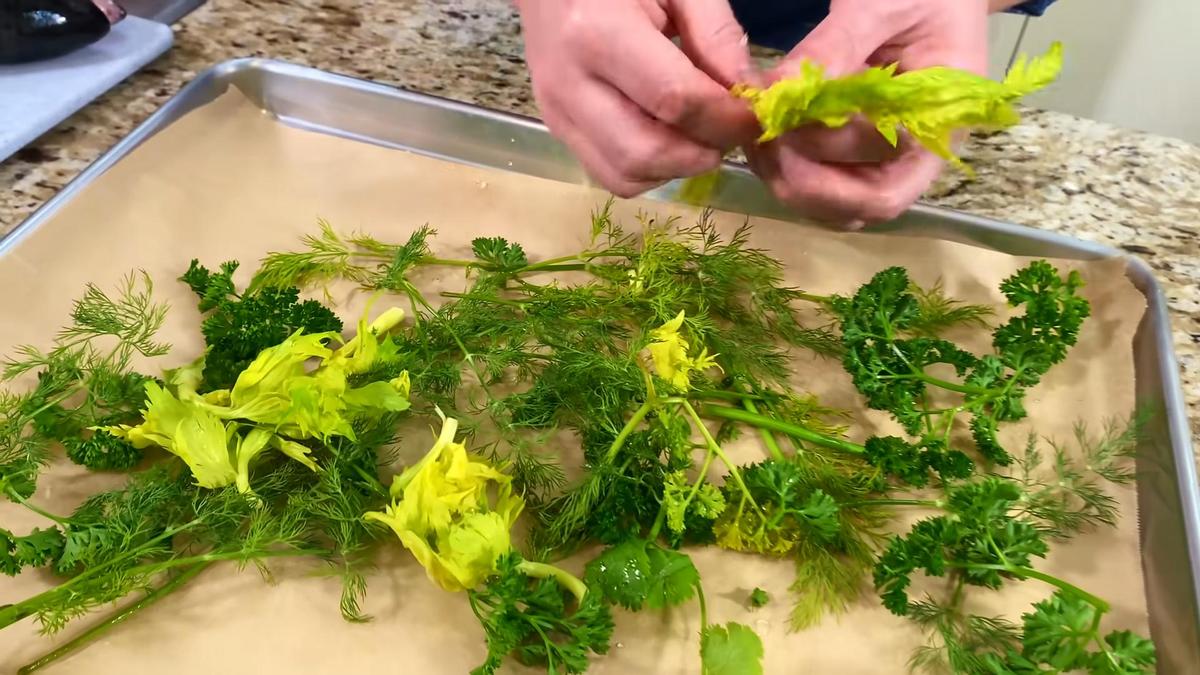 На противне свежая зелень: петрушка, укроп, сельдерей,