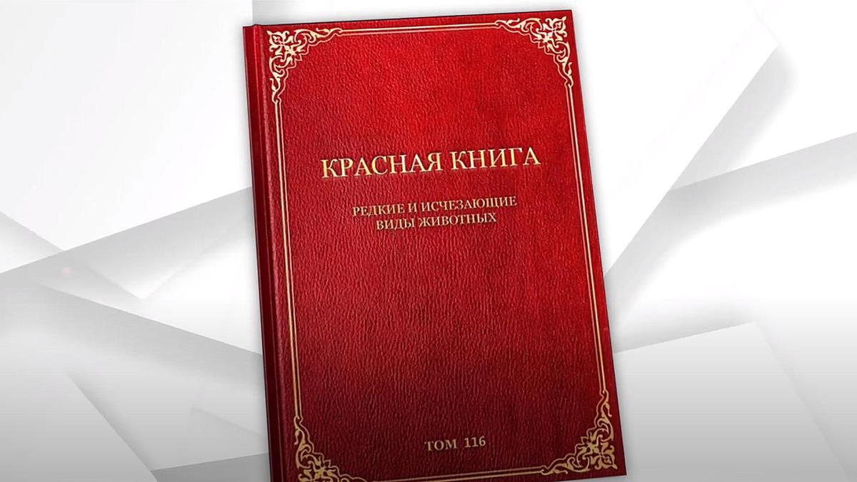 Красная книга