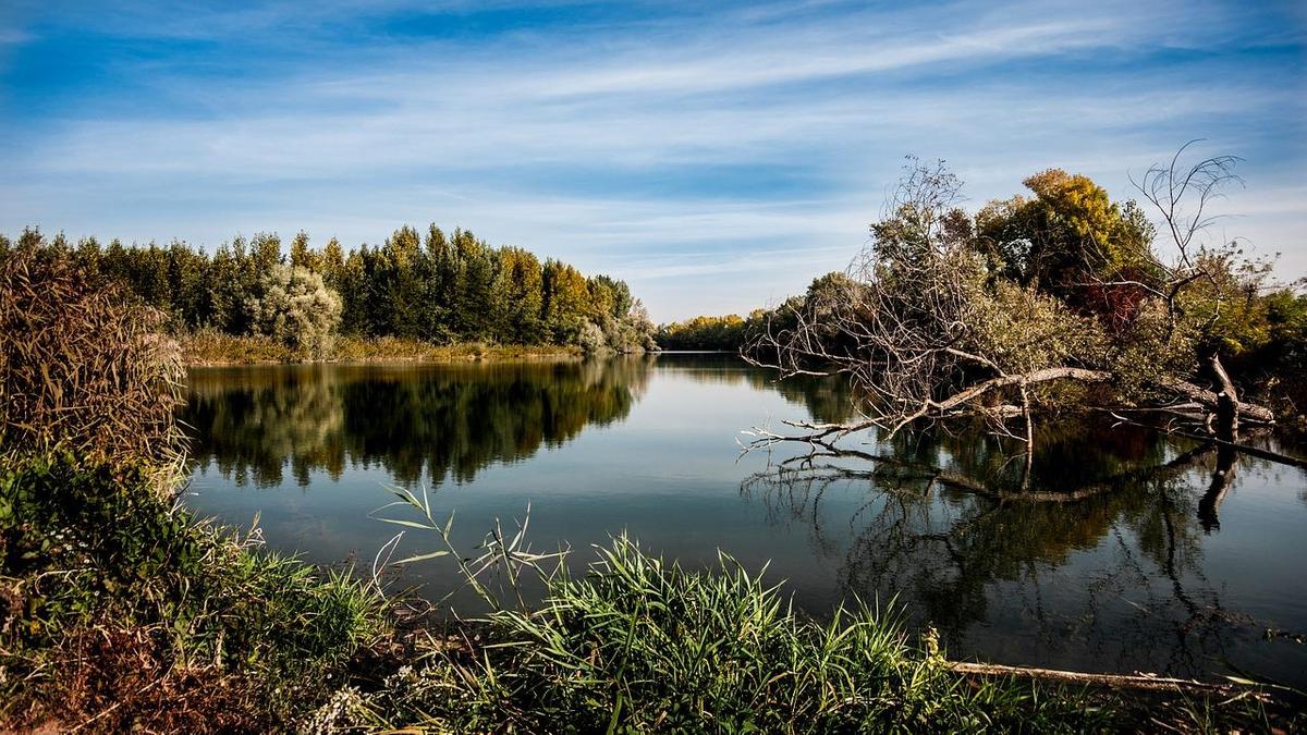 Водоем