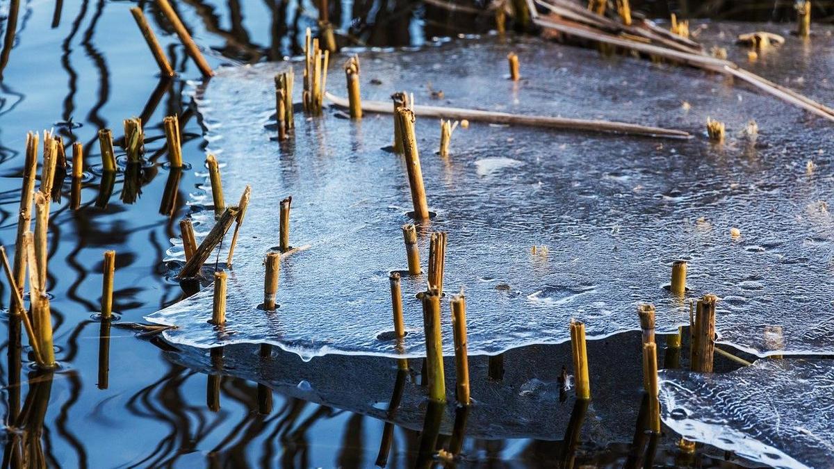 Лед тает в водоеме